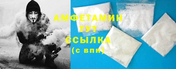 мдпв Няндома