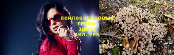 МДПВ Нязепетровск