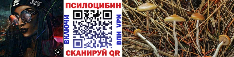 Галлюциногенные грибы мухоморы  Купить где  Катав-Ивановск 